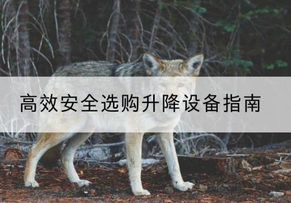 高碑店升降货梯厂家推荐-*安全选购升降设备指南