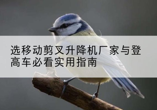 高碑店电动升降机厂家-选移动剪叉升降机厂家与登高车必看实用指南